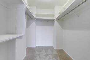 Bright Comfort in DC Apts