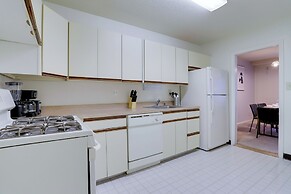 Bright Comfort in DC Apts