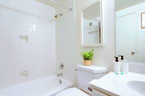 Bright Comfort in DC Apts