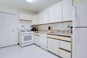 Bright Comfort in DC Apts