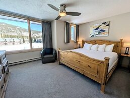 Argentine Court 1516