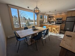 Argentine Court 1516