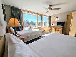 Argentine Court 1516