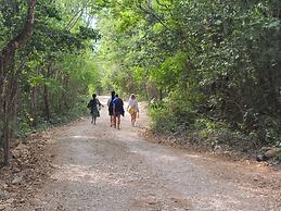 Room in Lodge - Unique Jungle Dome 2 Queen Beds