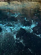 Room in Lodge - Unique Jungle Dome 2 Queen Beds