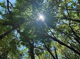 Room in Lodge - Unique Jungle Dome 2 Queen Beds