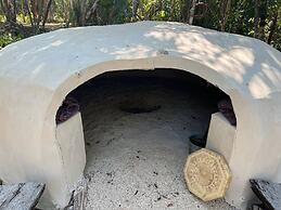 Room in Lodge - Unique Jungle Dome 2 Queen Beds