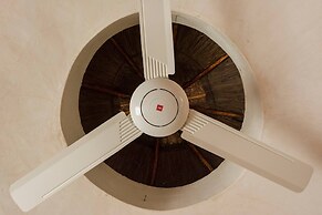 Room-unique Jungle Dome Ik