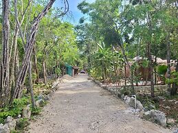 Room-unique Jungle Dome Ik