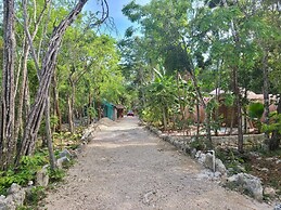 Unique Jungle Dome Ha With Kitchen