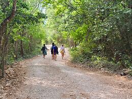 Unique Jungle Dome Ha With Kitchen