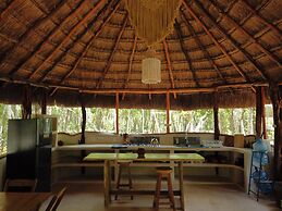 Unique Jungle Dome Ha With Kitchen