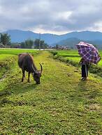 Frontier Hostel & Tours