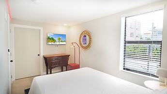 Gorgeous Apartment with Free Parking