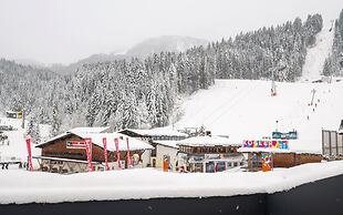 Alpenstyle Resort Fieberbrunn