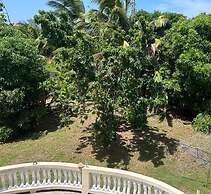 Tropical Paradise Retreat in St Ann's