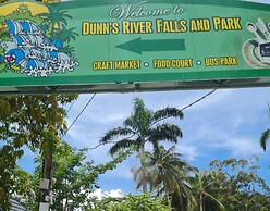 Tropical Paradise Retreat in St Ann's