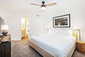 Tucker at New River Cove Fort Lauderdale