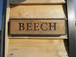 Beech