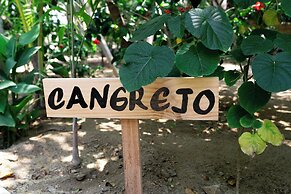 Casa Mariposa Oaxaca
