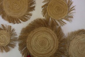 Casa Mariposa Oaxaca