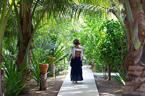 Casa Mariposa Oaxaca