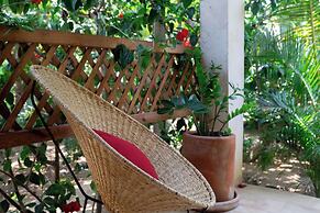 Casa Mariposa Oaxaca