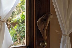 Casa Mariposa Oaxaca