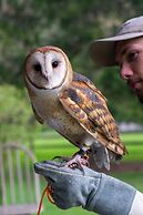 Laurel River Club Bed & Breakfast