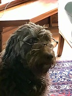 Laurel River Club Bed & Breakfast