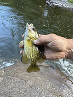 Laurel River Club Bed & Breakfast