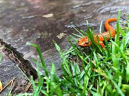 Laurel River Club Bed & Breakfast