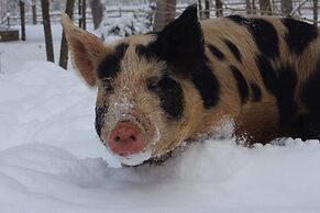 Laurel River Club Bed & Breakfast