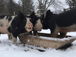 Laurel River Club Bed & Breakfast