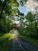 Laurel River Club Bed & Breakfast