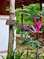 Ocean Forest Ecolodge Retreat