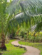 Ocean Forest Ecolodge Retreat