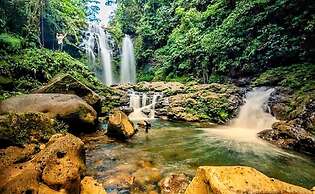 Ocean Forest Ecolodge Retreat