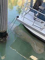 Yacht Haven Marina
