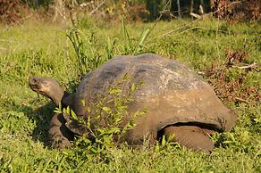 Galapagos and Beyond
