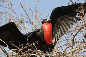 Galapagos and Beyond
