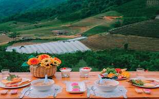 Paopao Orange Farm and Home stay