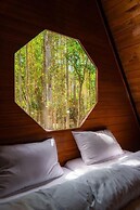Maple Resorts
