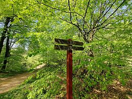 Hotel Velling Koller