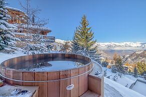 Chalet Sapin Argenté