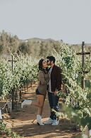 7 Valles