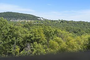 Honey Hole - 3 BDR Hilltop Haven Close to Branson Attractions!