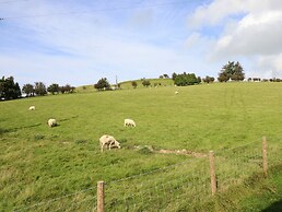 Mynydd Y Glyn Lodge