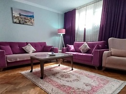 Grand Appartement 2-1