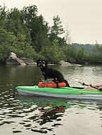 Staying by the Lakeside Cottages